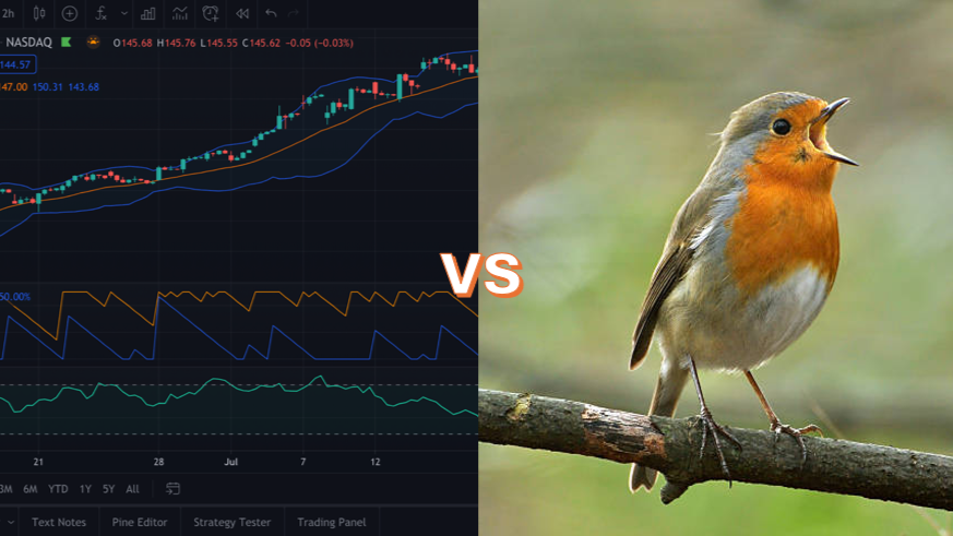 Finance vs Birdsong classification